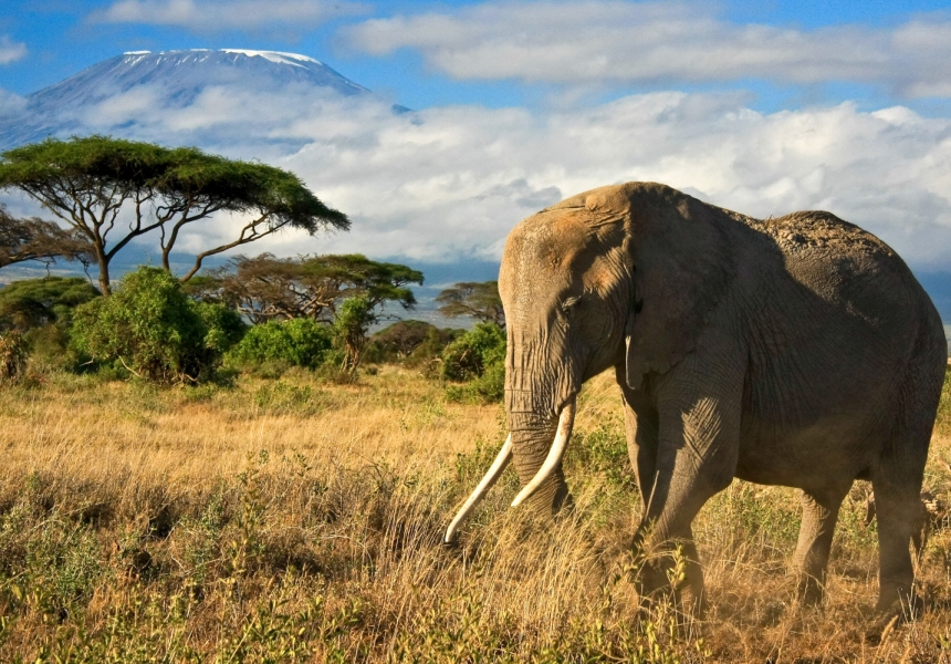 Вершина Африки, Танзания